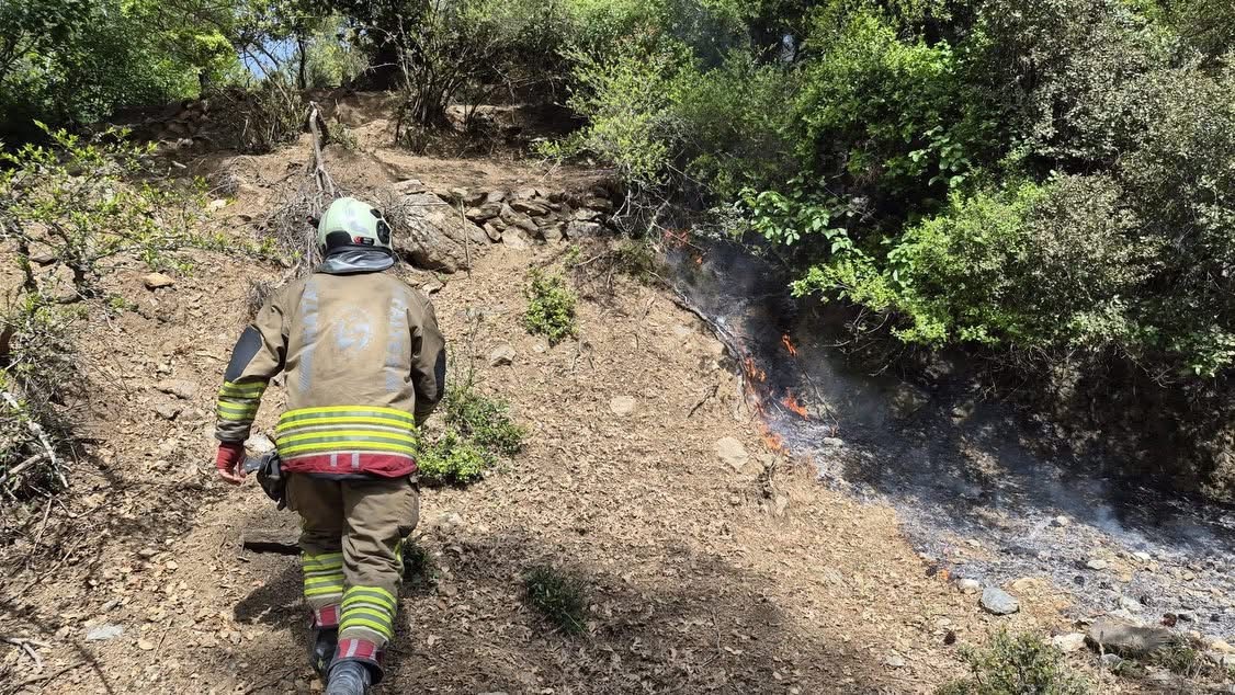 İskenderun’da orman yangını kontrol altına alındı

