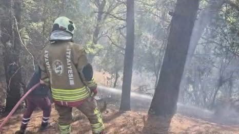 İskenderun’da orman yangını kontrol altına alındı
