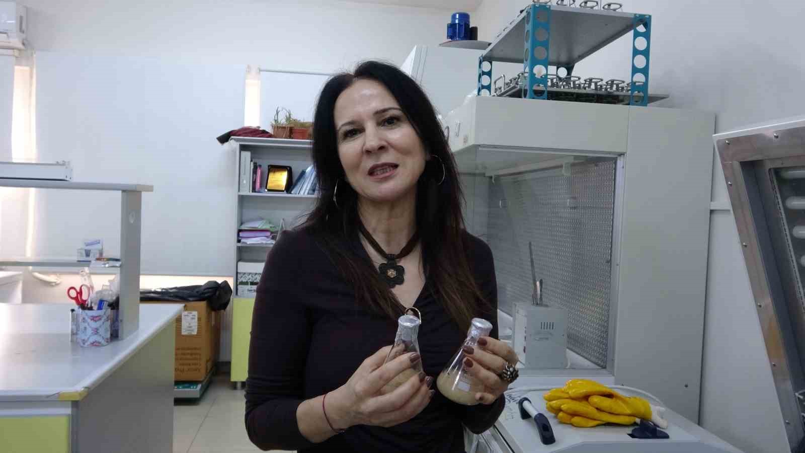 Isparta’da endemik bitkiden doğaya zarar vermeden kanserle mücadeleye umut olacak üretim modeli geliştiriliyor
Isparta’da endemik bitkiden doğaya zarar vermeden kanserle mücadeleye umut olacak üretim modeli geliştiriliyor