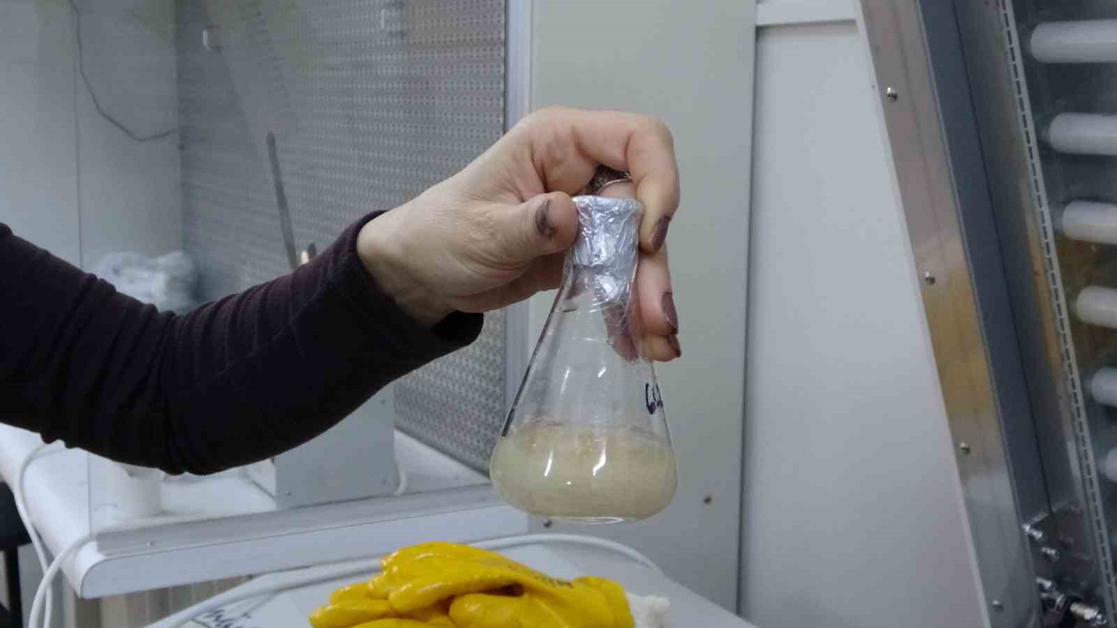 Isparta’da endemik bitkiden doğaya zarar vermeden kanserle mücadeleye umut olacak üretim modeli geliştiriliyor
Isparta’da endemik bitkiden doğaya zarar vermeden kanserle mücadeleye umut olacak üretim modeli geliştiriliyor