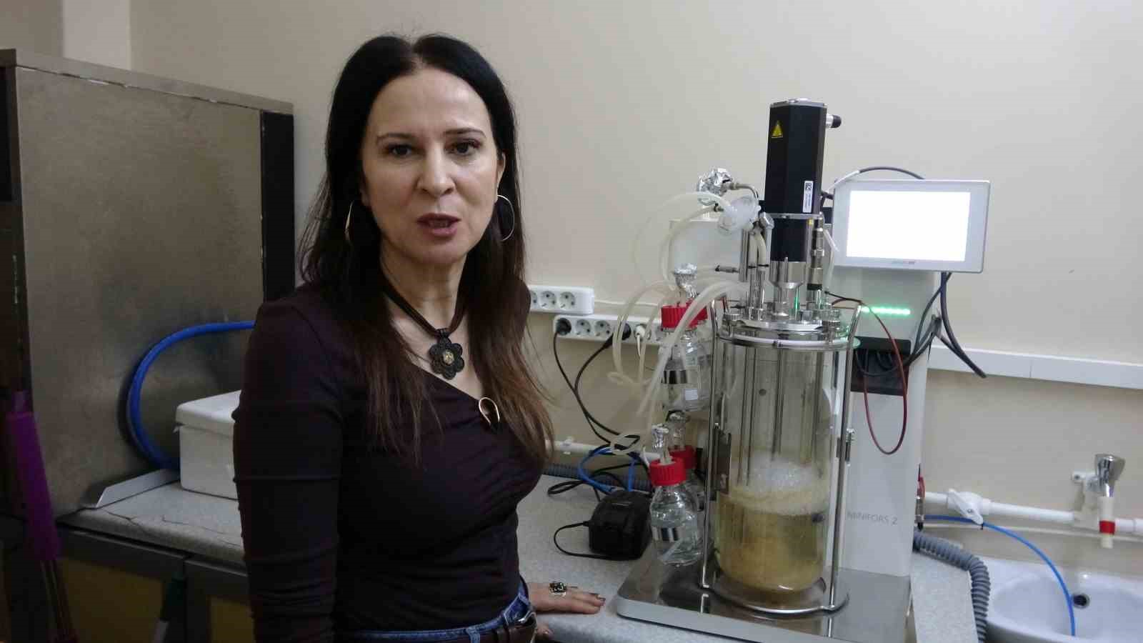 Isparta’da endemik bitkiden doğaya zarar vermeden kanserle mücadeleye umut olacak üretim modeli geliştiriliyor
Isparta’da endemik bitkiden doğaya zarar vermeden kanserle mücadeleye umut olacak üretim modeli geliştiriliyor