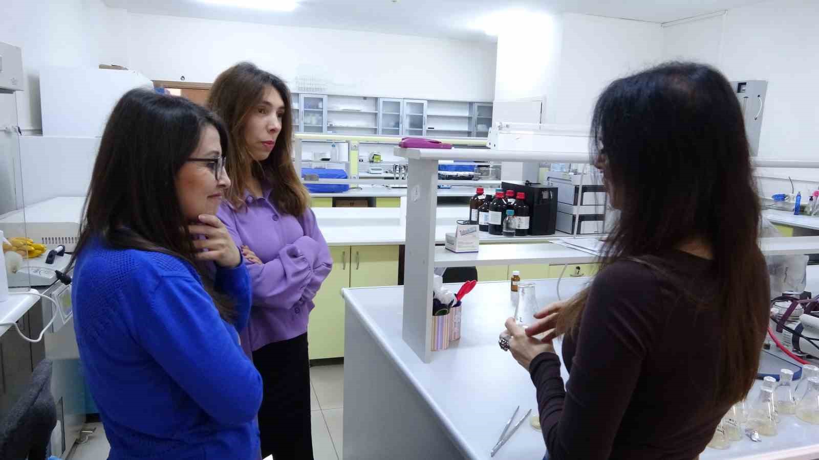 Isparta’da endemik bitkiden doğaya zarar vermeden kanserle mücadeleye umut olacak üretim modeli geliştiriliyor
Isparta’da endemik bitkiden doğaya zarar vermeden kanserle mücadeleye umut olacak üretim modeli geliştiriliyor