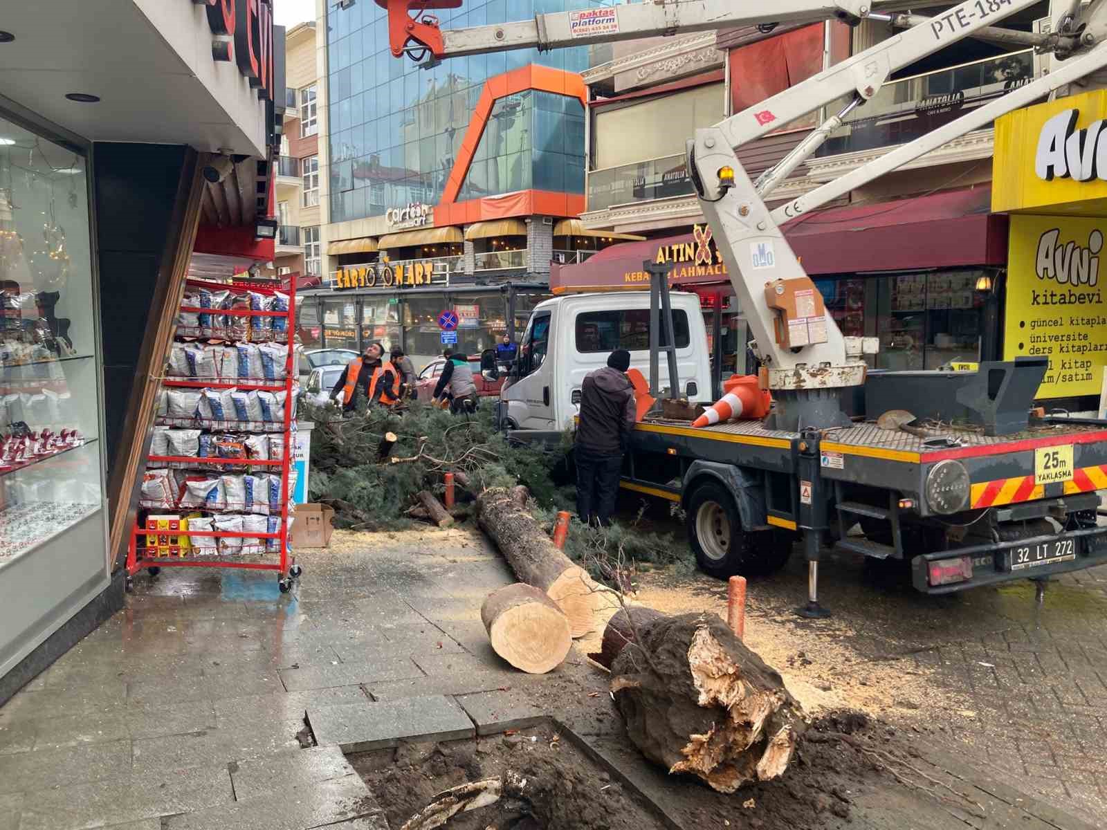 Isparta’da fırtına ağacı kökünden söktü
