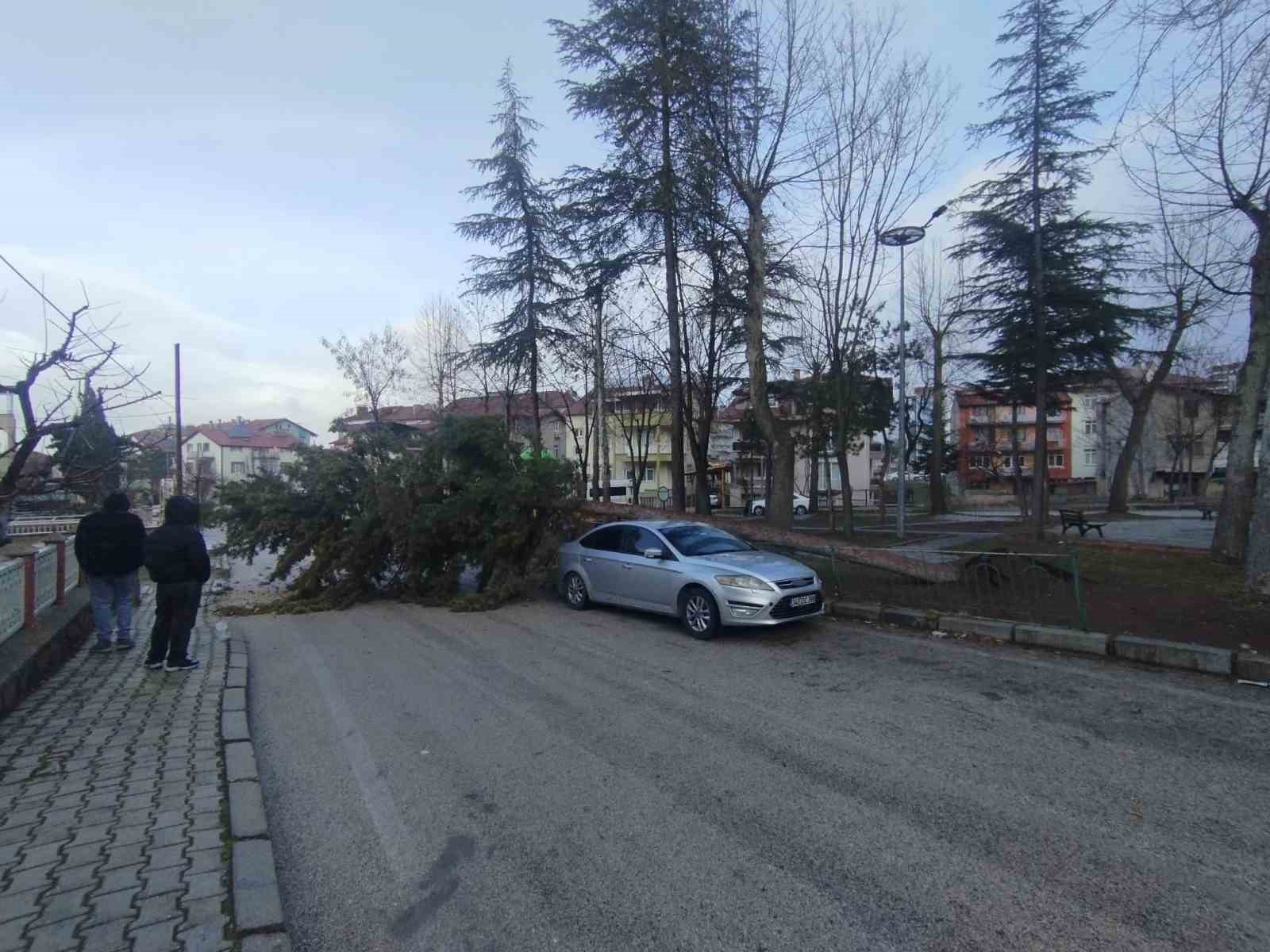 Isparta’da fırtına ağacı kökünden söküp park halindeki aracın üzerine devirdi
