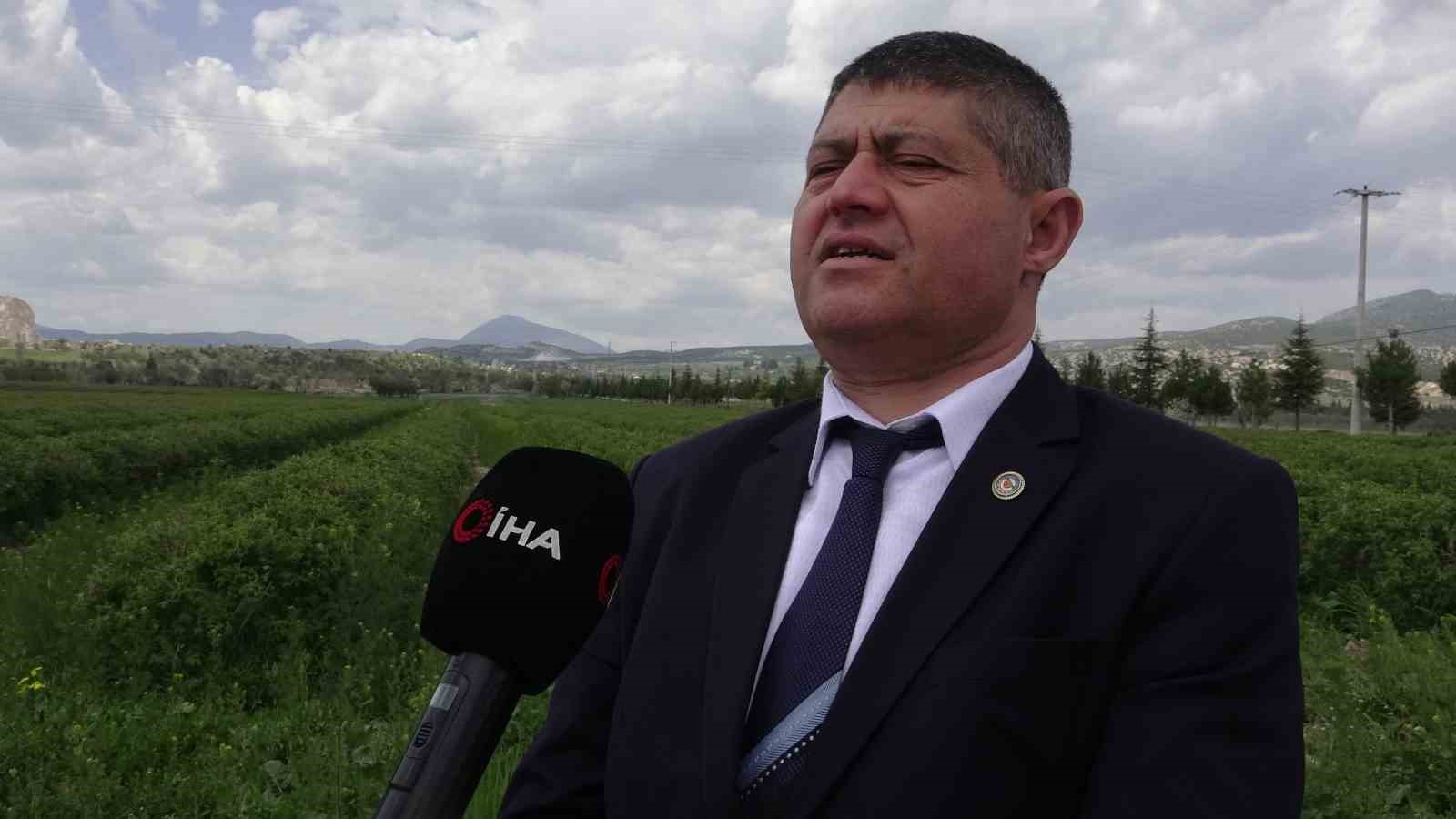 Isparta’da gül hasadı öncesi umutlar arttı: 13 bin ton rekolte bekleniyor
