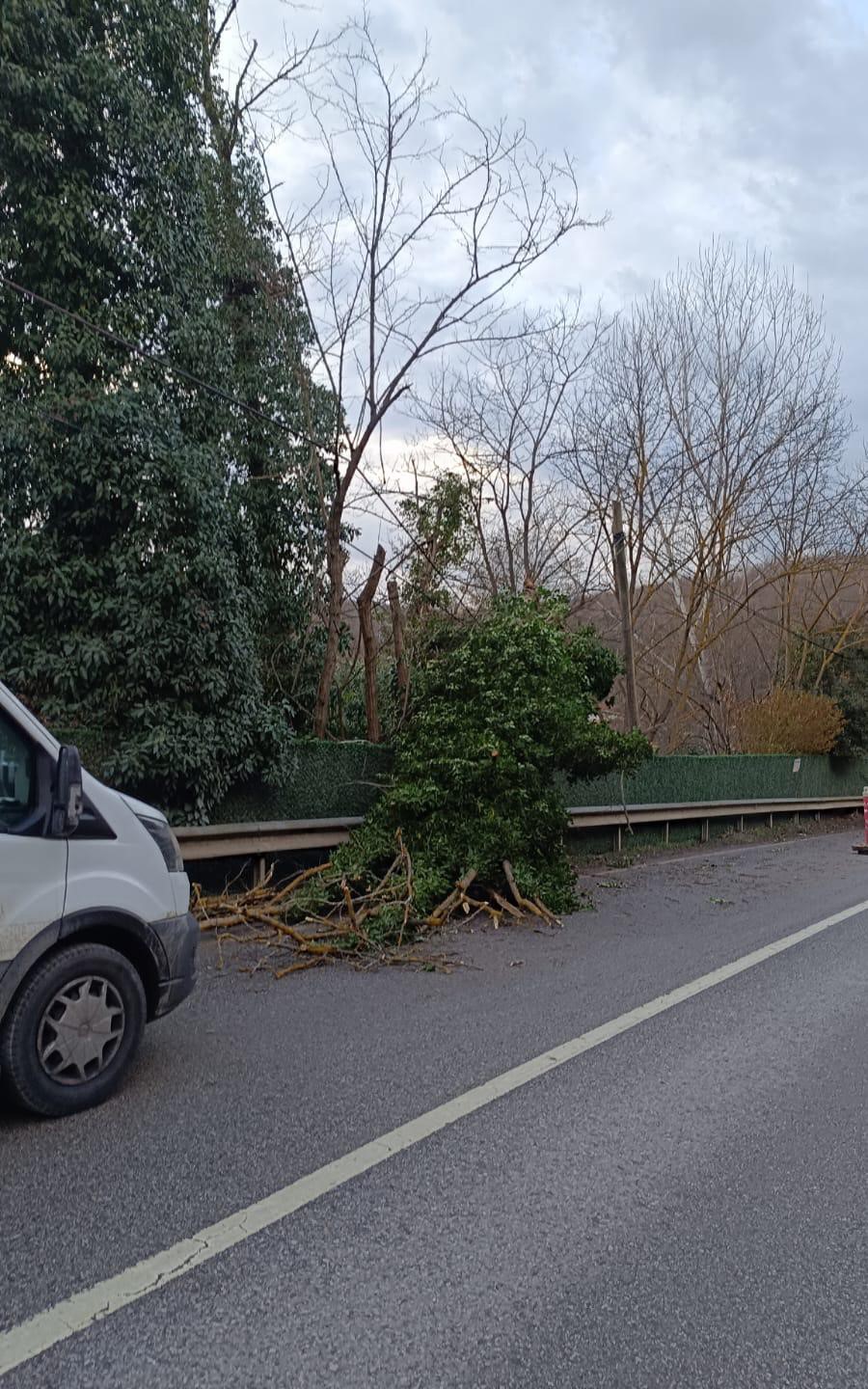 İstanbul için lodos uyarısı: Kuvvetli fırtına etkili olacak
İstanbul için lodos uyarısı: Kuvvetli fırtına etkili olacak