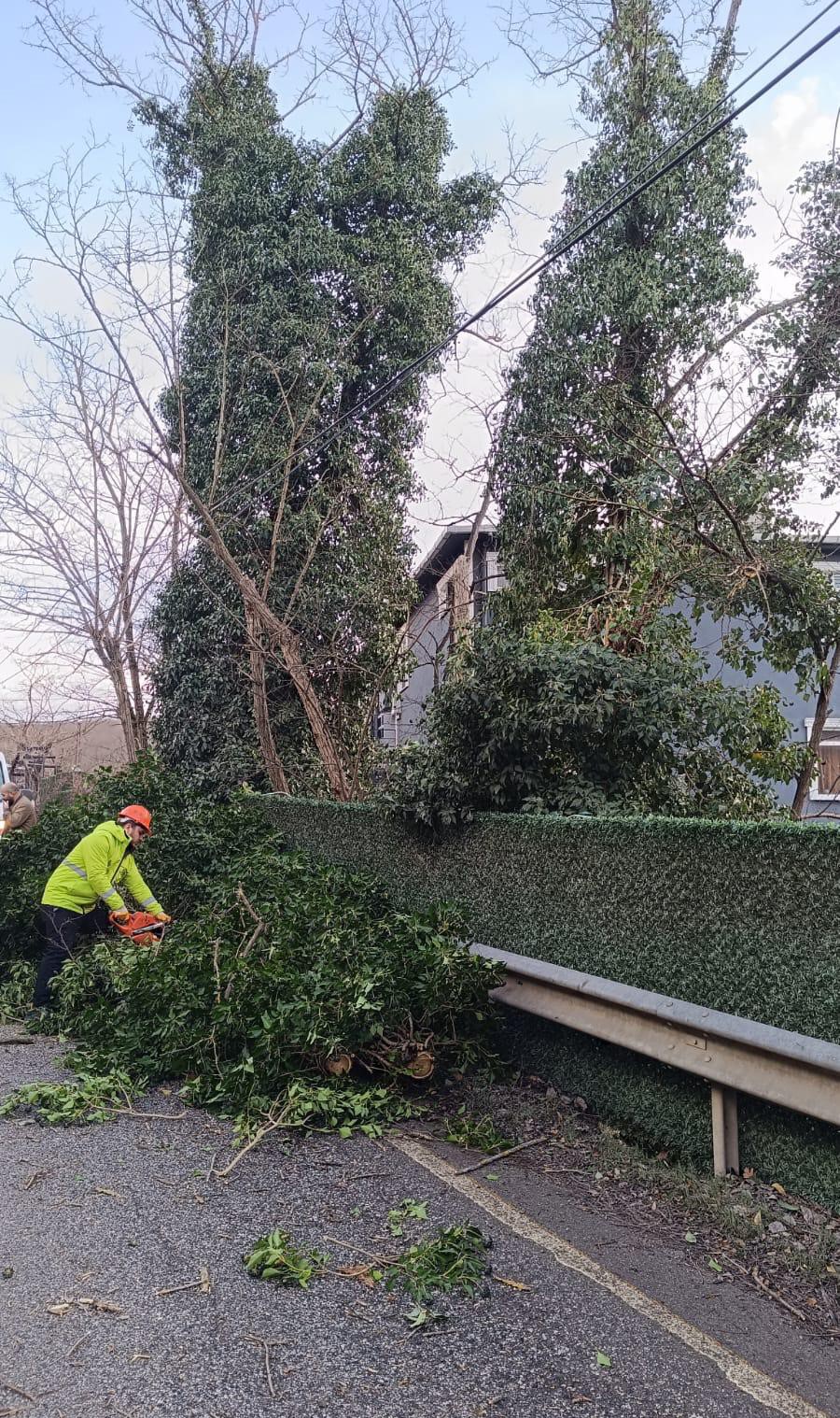 İstanbul için lodos uyarısı: Kuvvetli fırtına etkili olacak
İstanbul için lodos uyarısı: Kuvvetli fırtına etkili olacak