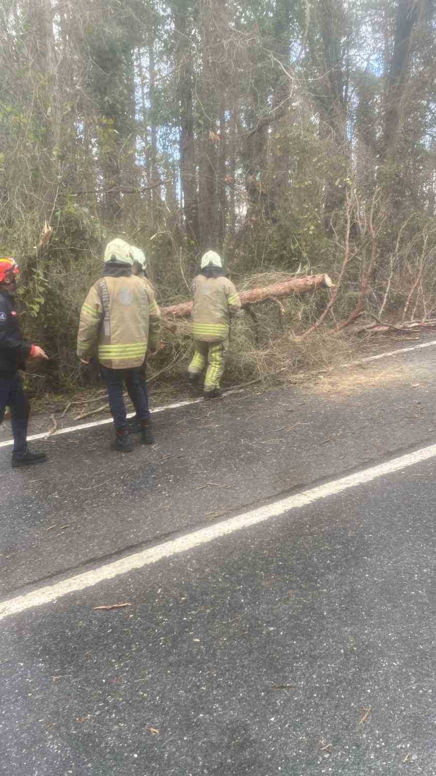 İstanbul için lodos uyarısı: Kuvvetli fırtına etkili olacak
İstanbul için lodos uyarısı: Kuvvetli fırtına etkili olacak