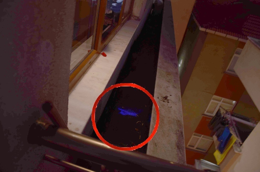 İstanbul’da 2019’daki kayıp dosyasından cinayet çıktı: Eşini öldürüp parçaladı
