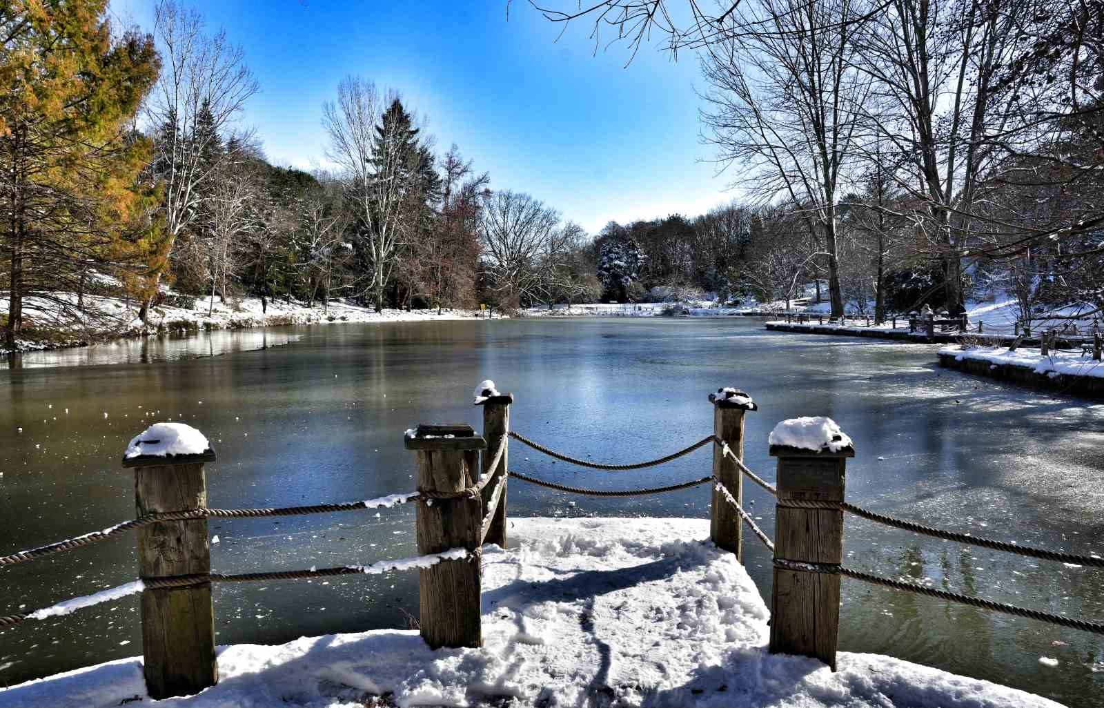 İstanbul’da kar göremeyenler Atatürk Arboretumu’na geldi
