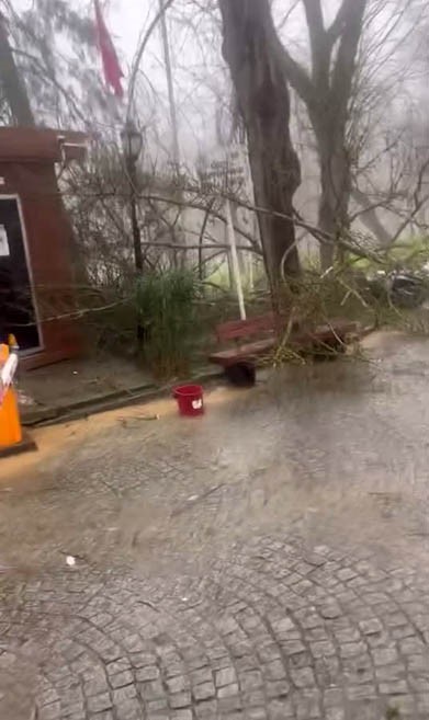 İstanbul’da şiddetli lodos ve yağış etkili oluyor: Çatılar uçtu, araçlar zarar gördü
