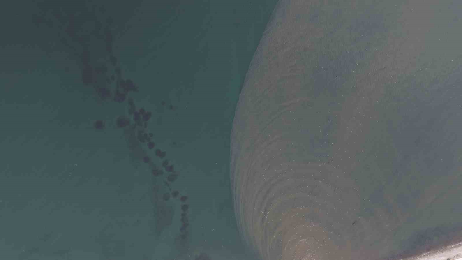 İstanbul’un atık suları Marmara Denizi’nin rengini değiştiriyor
