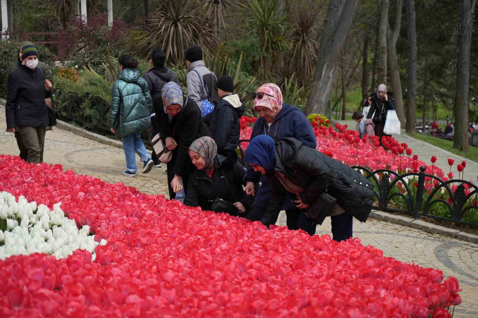 İstanbul’un simgesi laleler şehri yeniden renklendirdi
