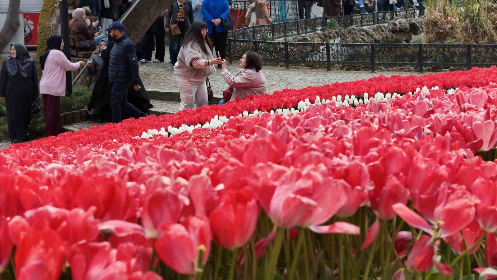 İstanbul’un simgesi laleler şehri yeniden renklendirdi

