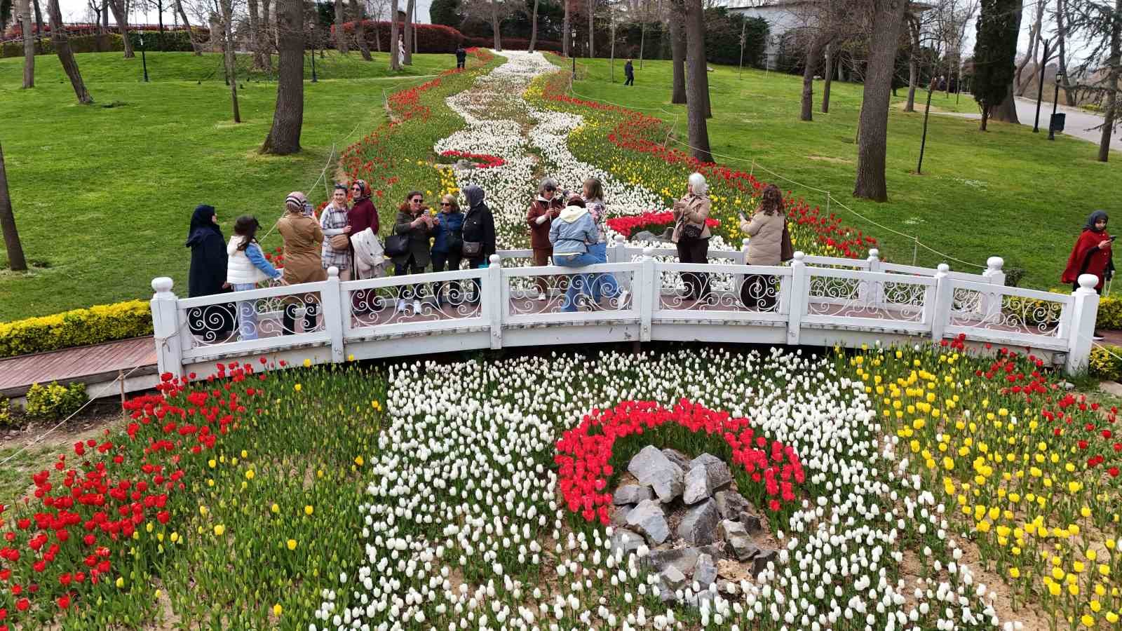 İstanbul’un simgesi laleler şehri yeniden renklendirdi
