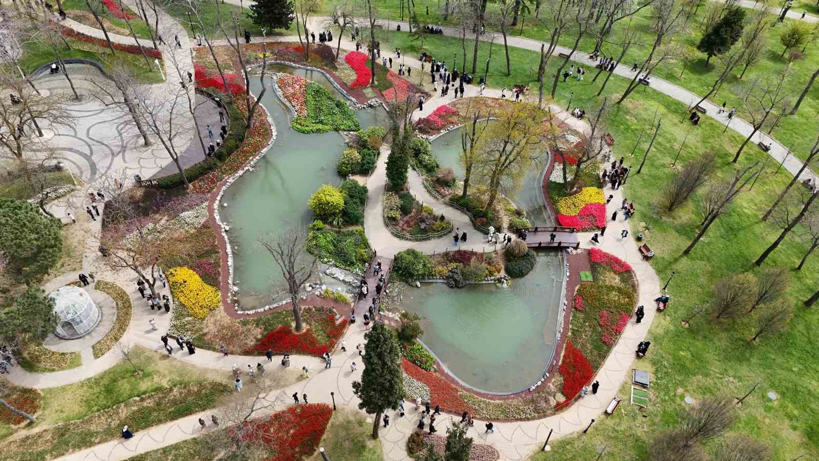 İstanbul’un simgesi laleler şehri yeniden renklendirdi
