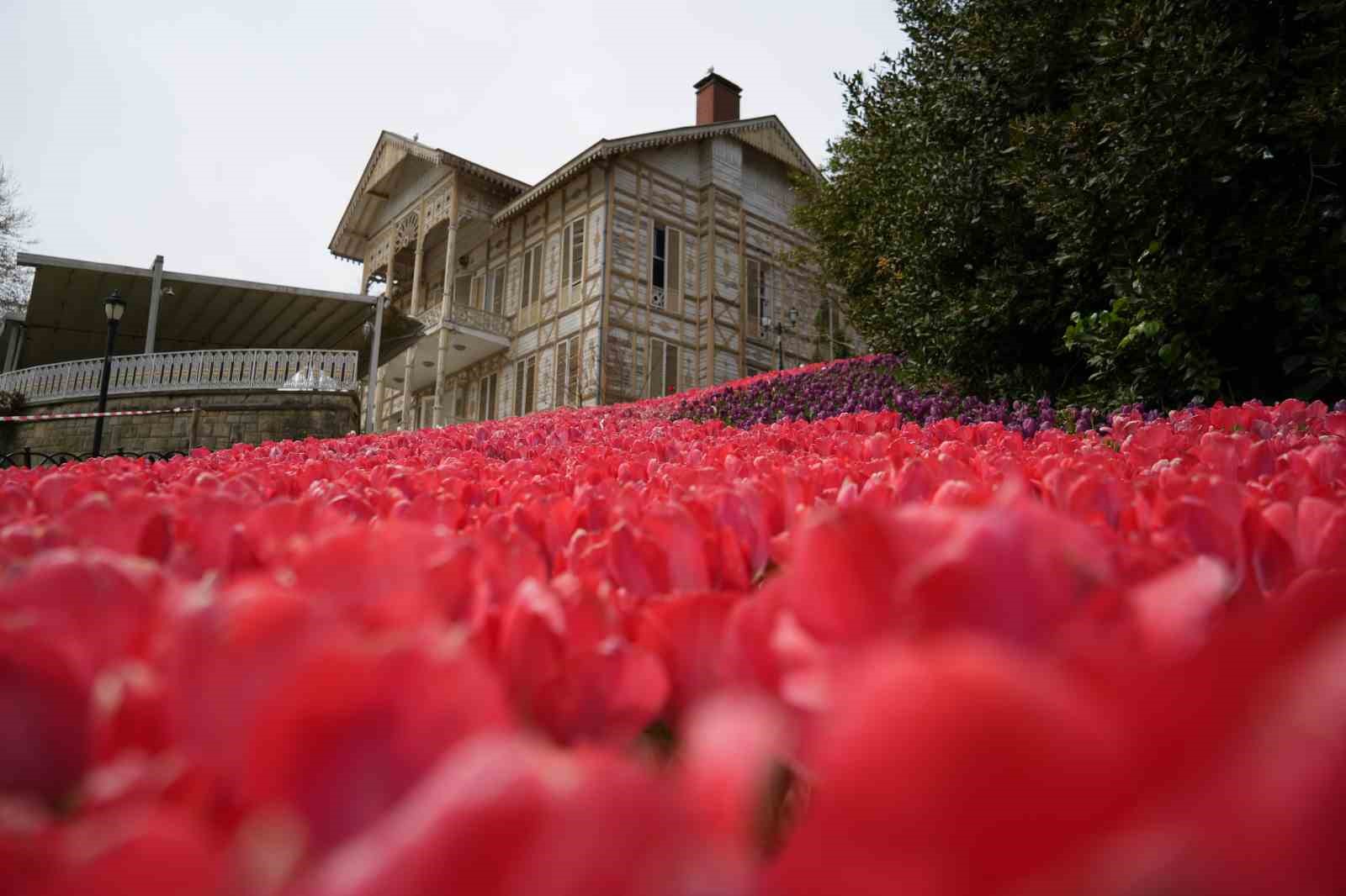 İstanbul’un simgesi laleler şehri yeniden renklendirdi
