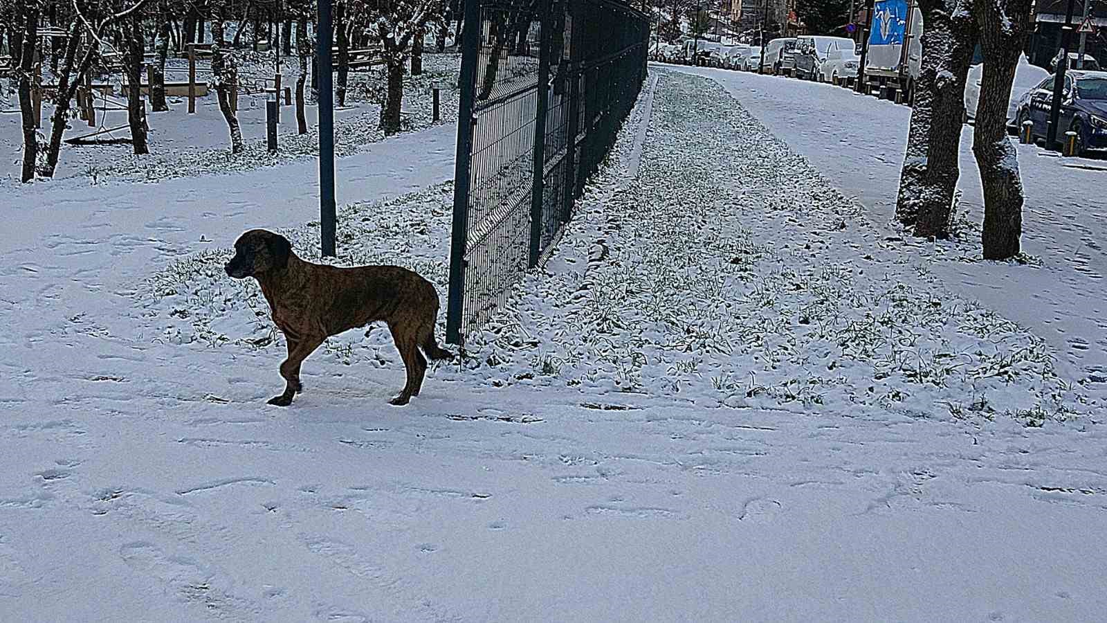 İstanbul’un yüksek kesimleri beyaza büründü
