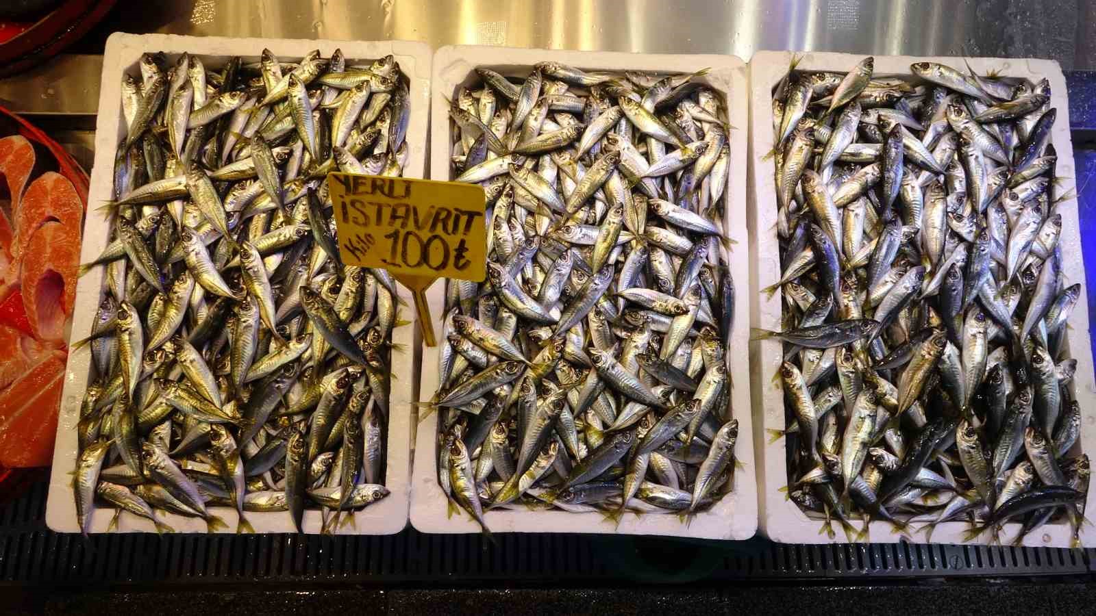 İstavrit hamsiyi tahtından etti
