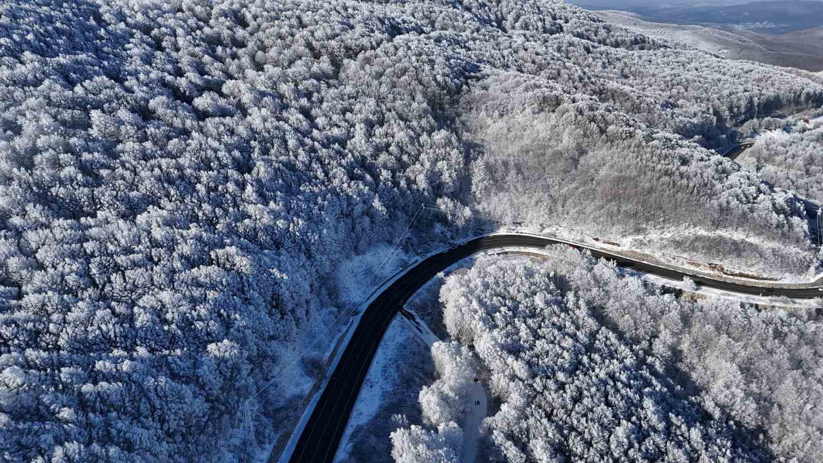 Istranca ormanlarında kar manzaraları
