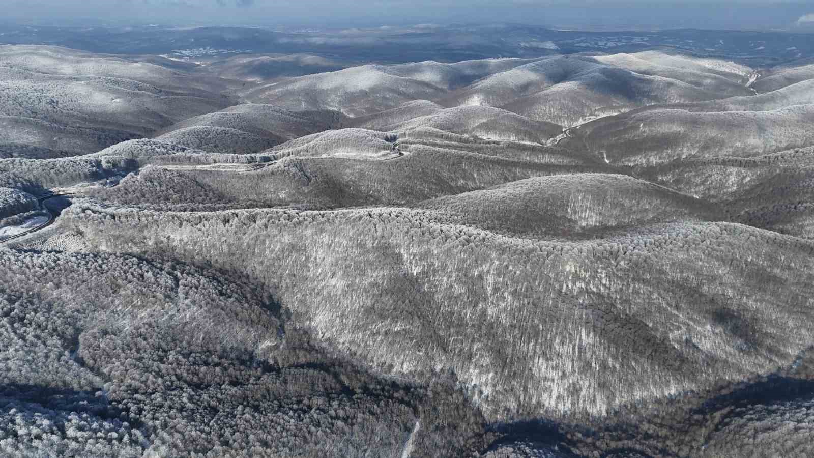 Istranca ormanlarında kar manzaraları
