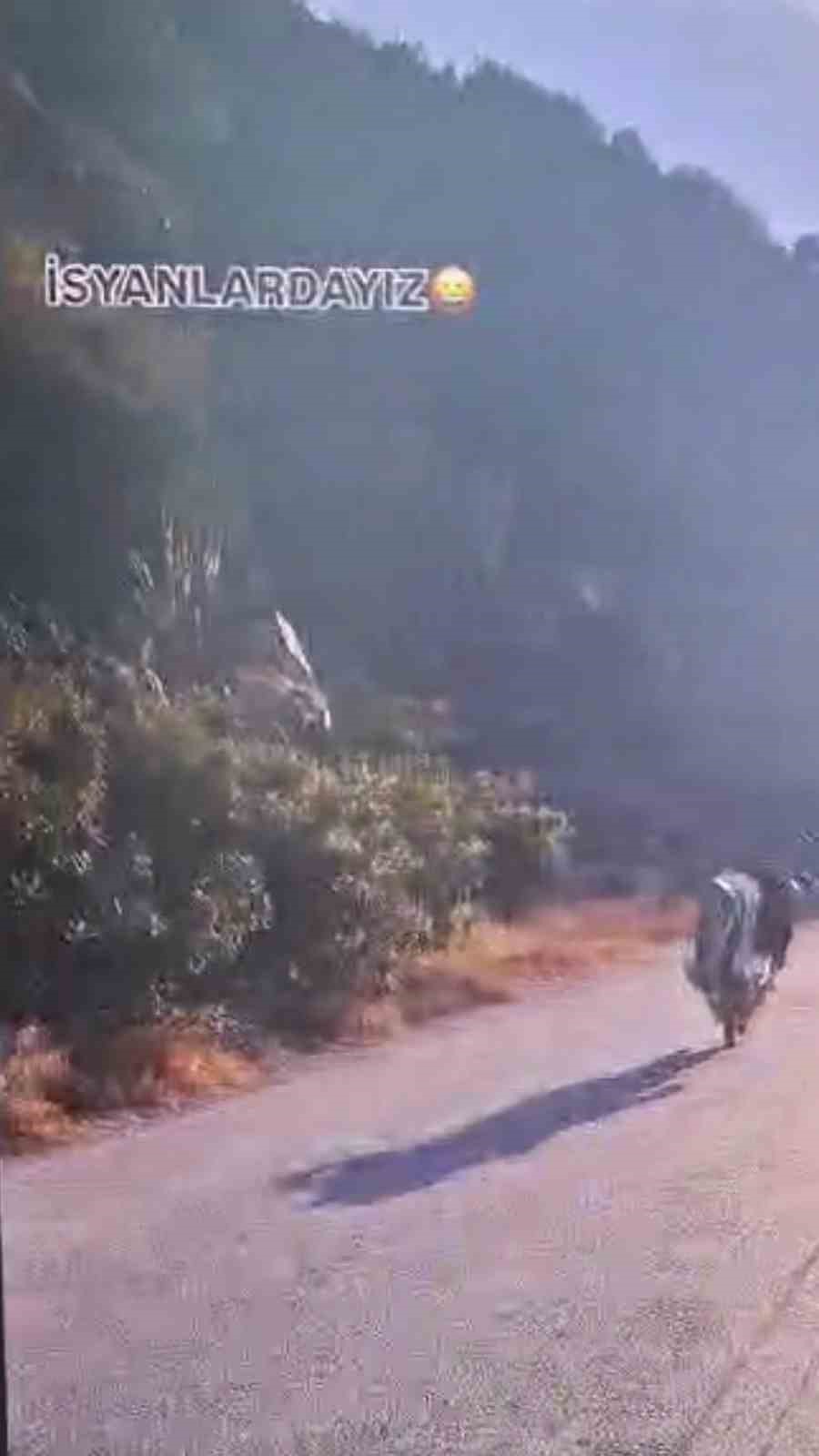 ‘İsyanlardayız’ yazılı video paylaşımları yapan motosikletliye ceza uygulandı
