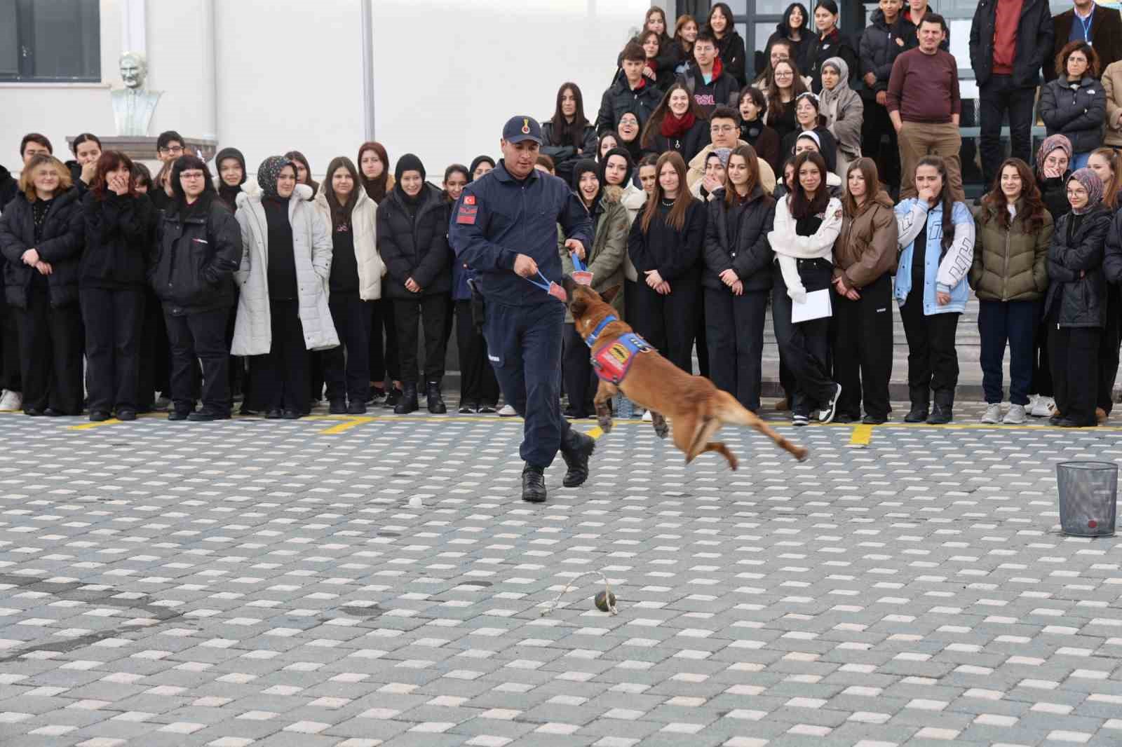 İtaat köpeği Nefes’ten öğrencilere nefes kesen gösteri
İtaat köpeği Nefes’ten öğrencilere nefes kesen gösteri