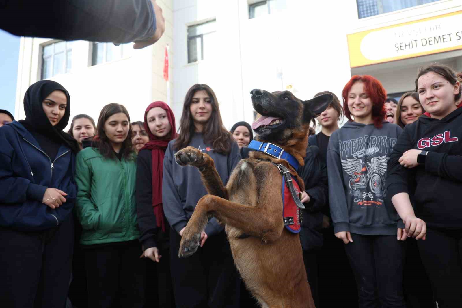 İtaat köpeği Nefes’ten öğrencilere nefes kesen gösteri
İtaat köpeği Nefes’ten öğrencilere nefes kesen gösteri