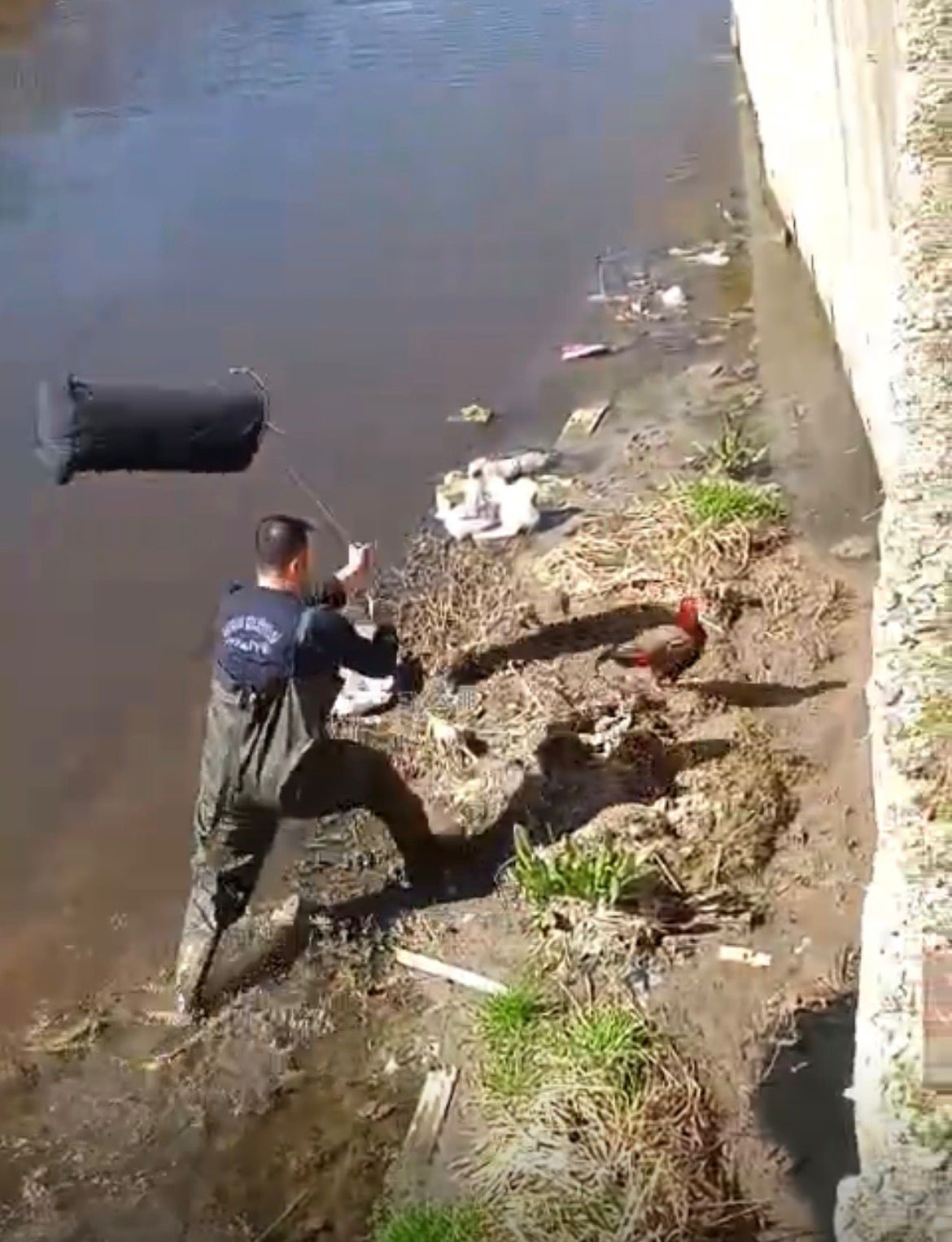 İtfaiye ekipleri dereye düşen horoz için seferber oldu

