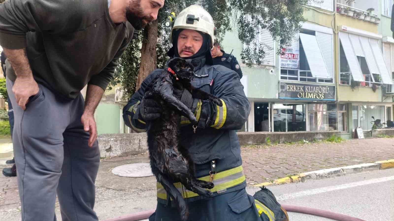 İtfaiye eri yangında dumandan etkilenen kediyi kalp masajı ile hayata döndürdü
