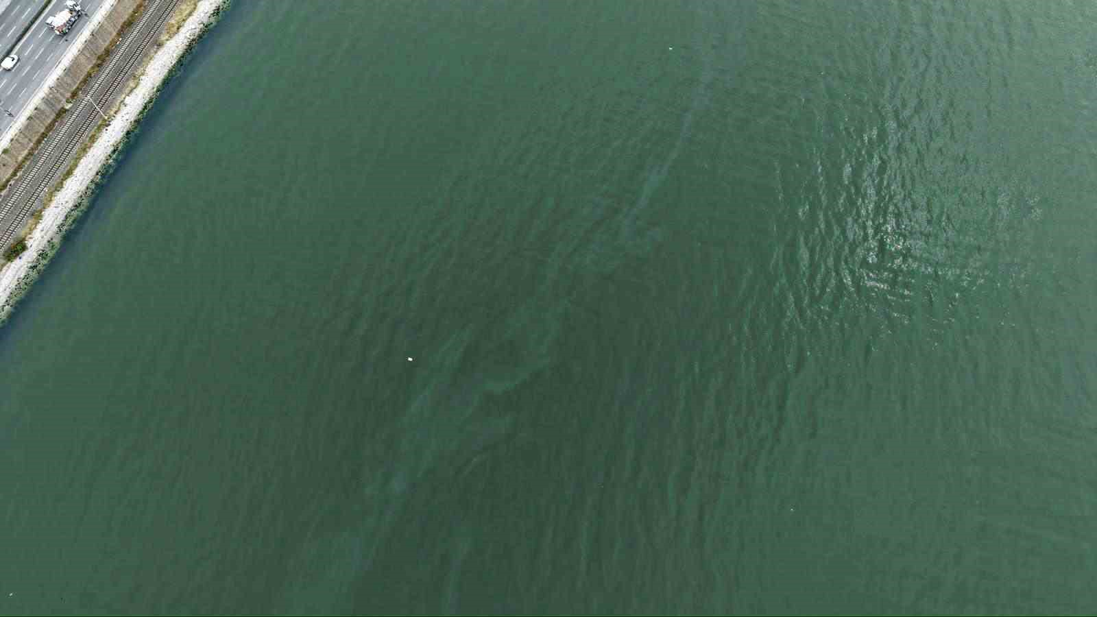 İzmir Körfezi’nde kirlilik alarmı: Aynı tehdit 11. kez görüldü
