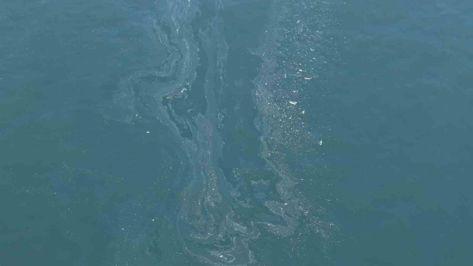 İzmir Körfezi’nde yine kirlilik tespit edildi
