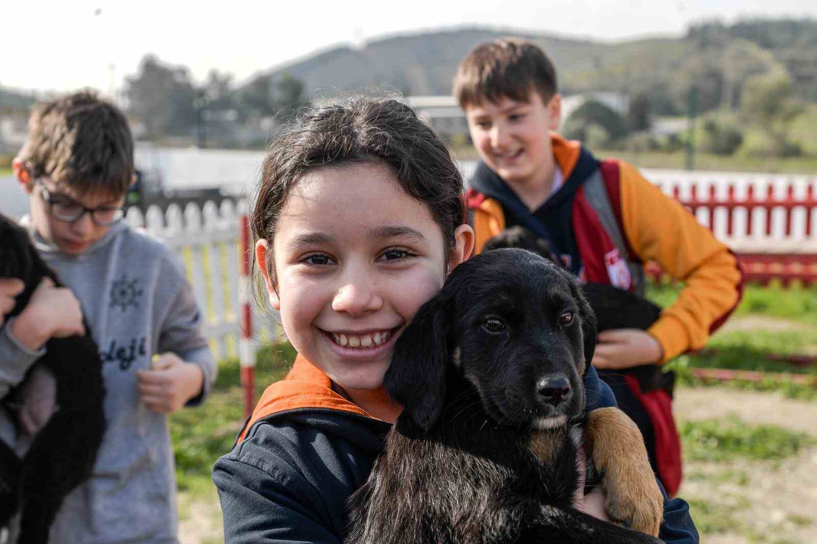 İzmir’de 2 bin 300 patili yuva bekliyor
