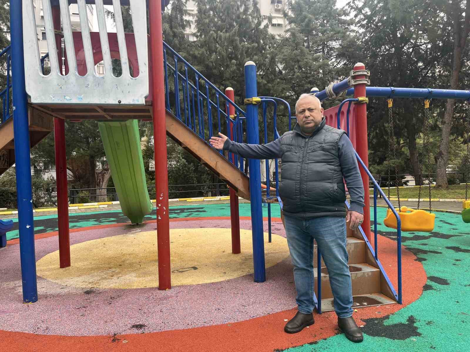 İzmir’de domuzlar sosyal hayatın parçası olmaya başladı
