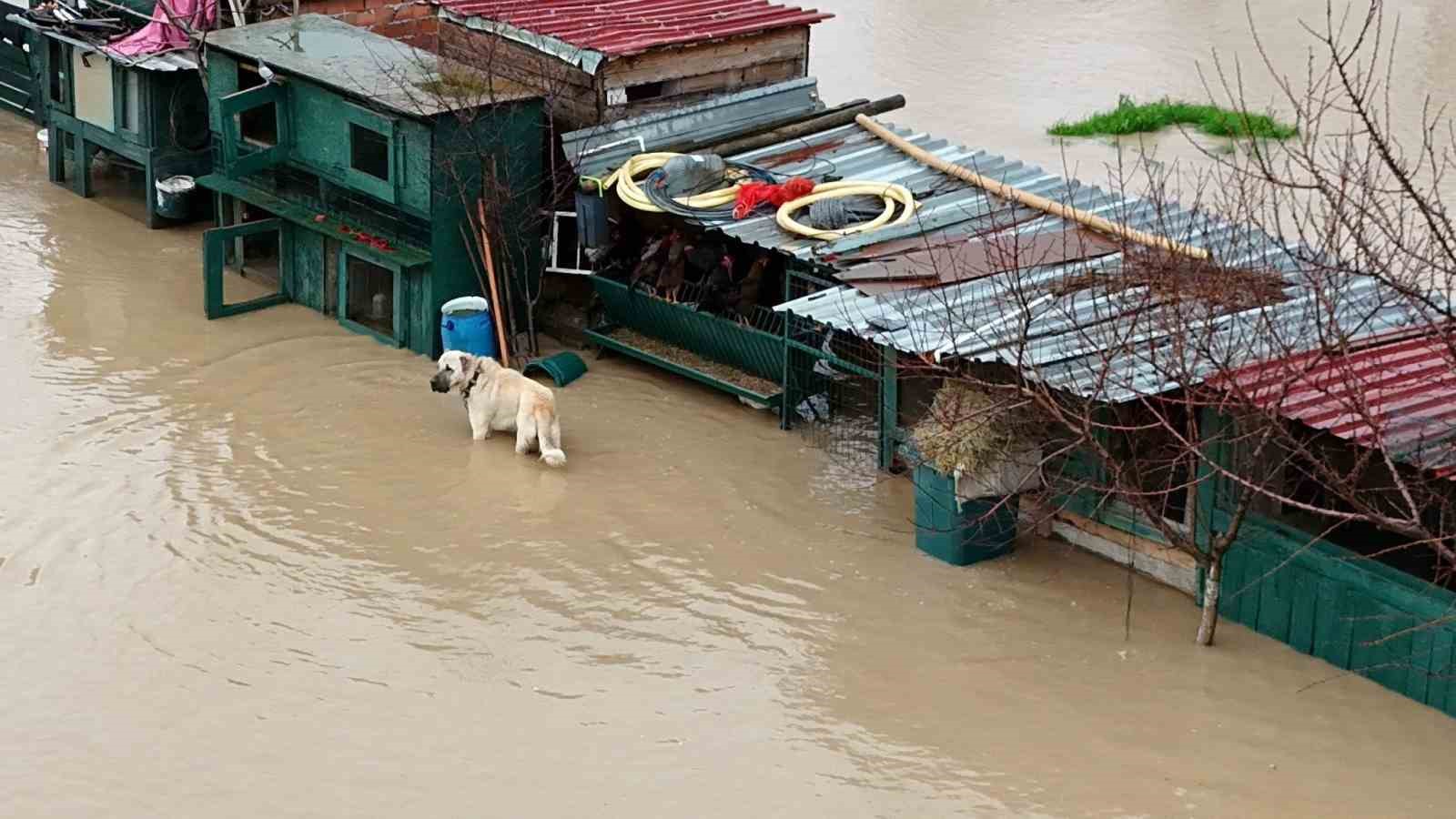 İzmir’de ekiplerin yağış seferberliği sürüyor
