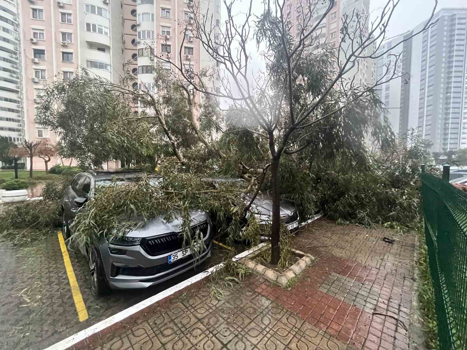 İzmir’de fırtına ağaçları devirdi: 5 araç hasar gördü
