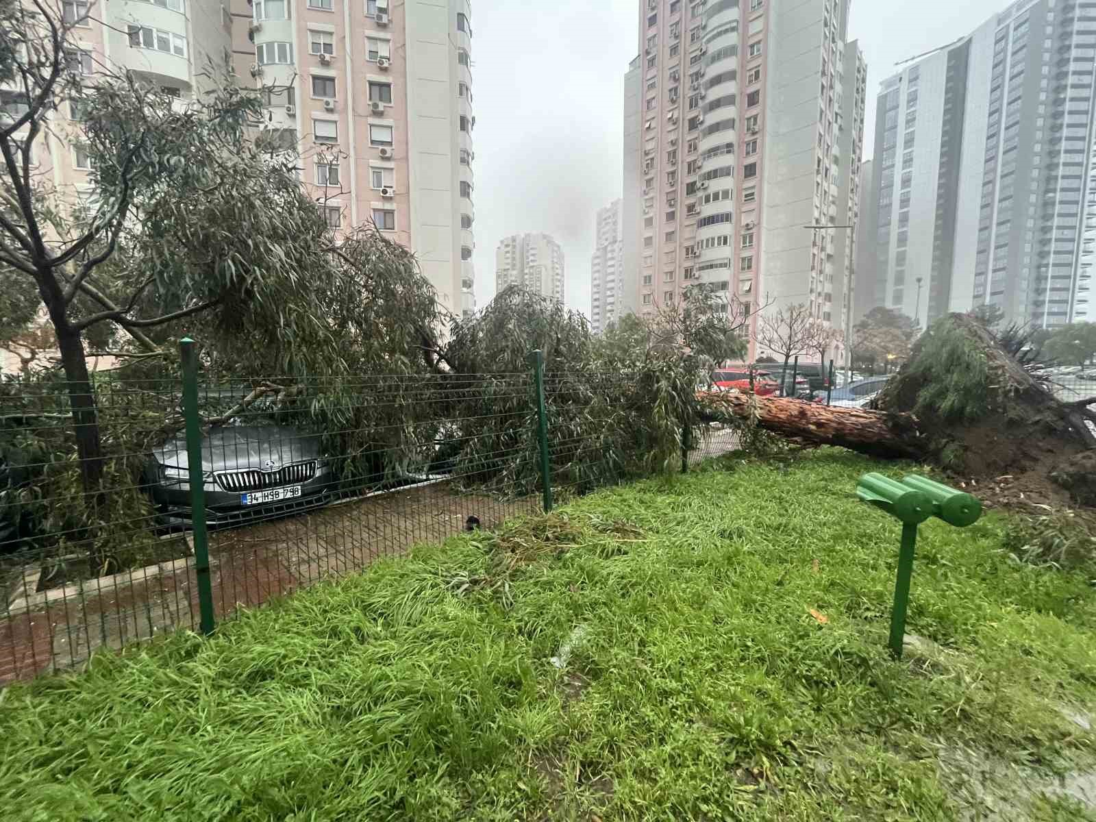 İzmir’de fırtına ağaçları devirdi: 5 araç hasar gördü
