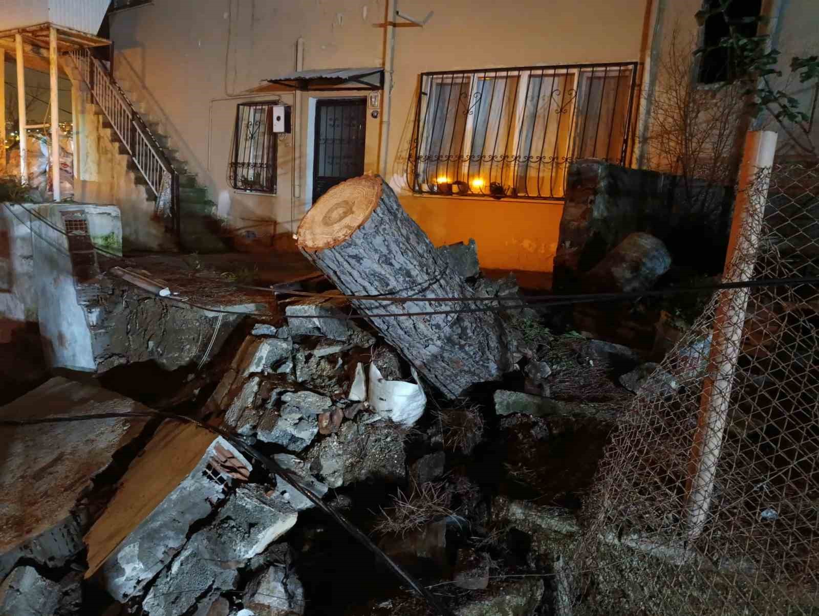 İzmir’de fırtına nedeniyle devrilen ağaç alev aldı
