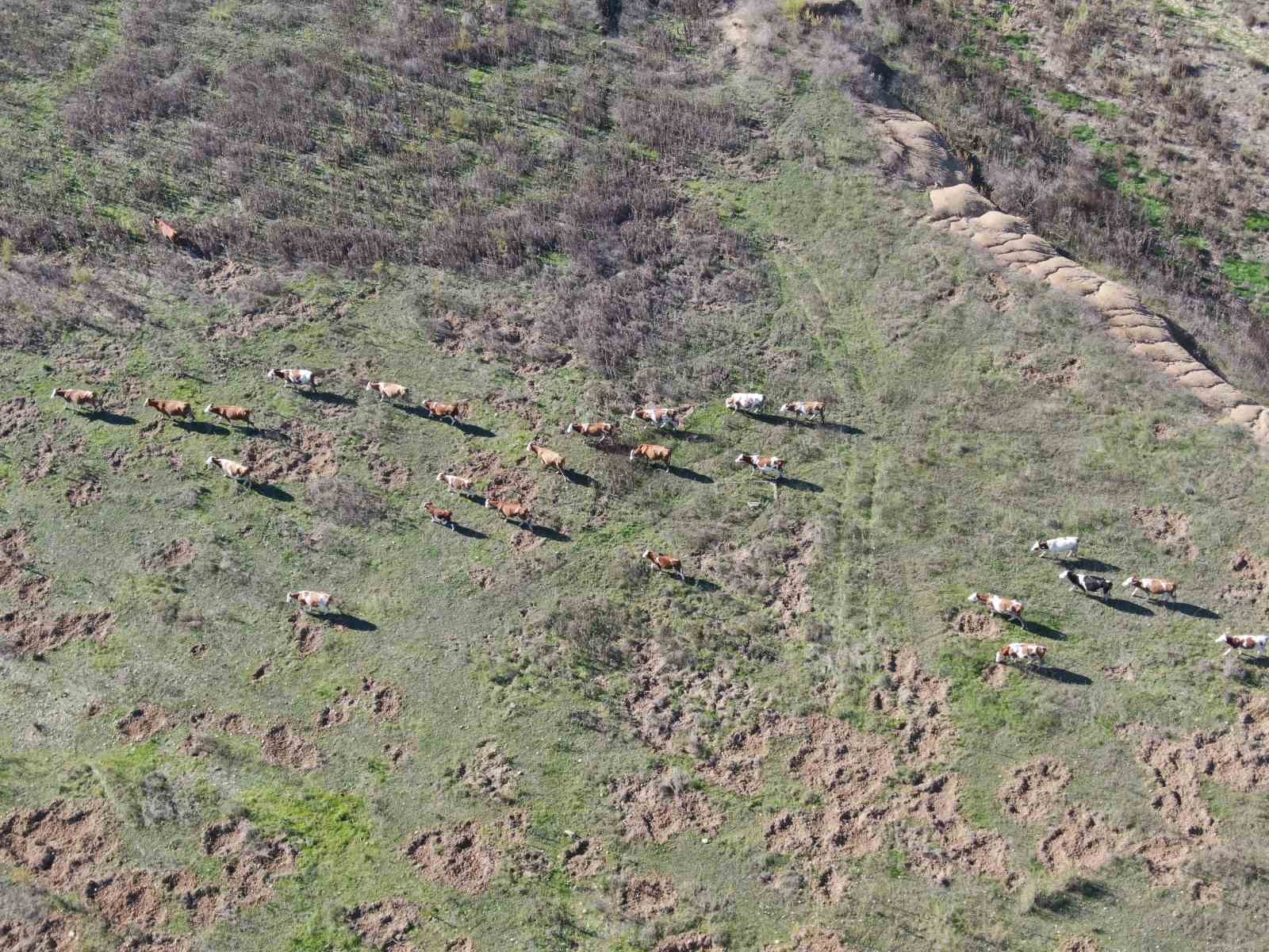 İzmir’de rekor yağışlar barajları doldurdu
