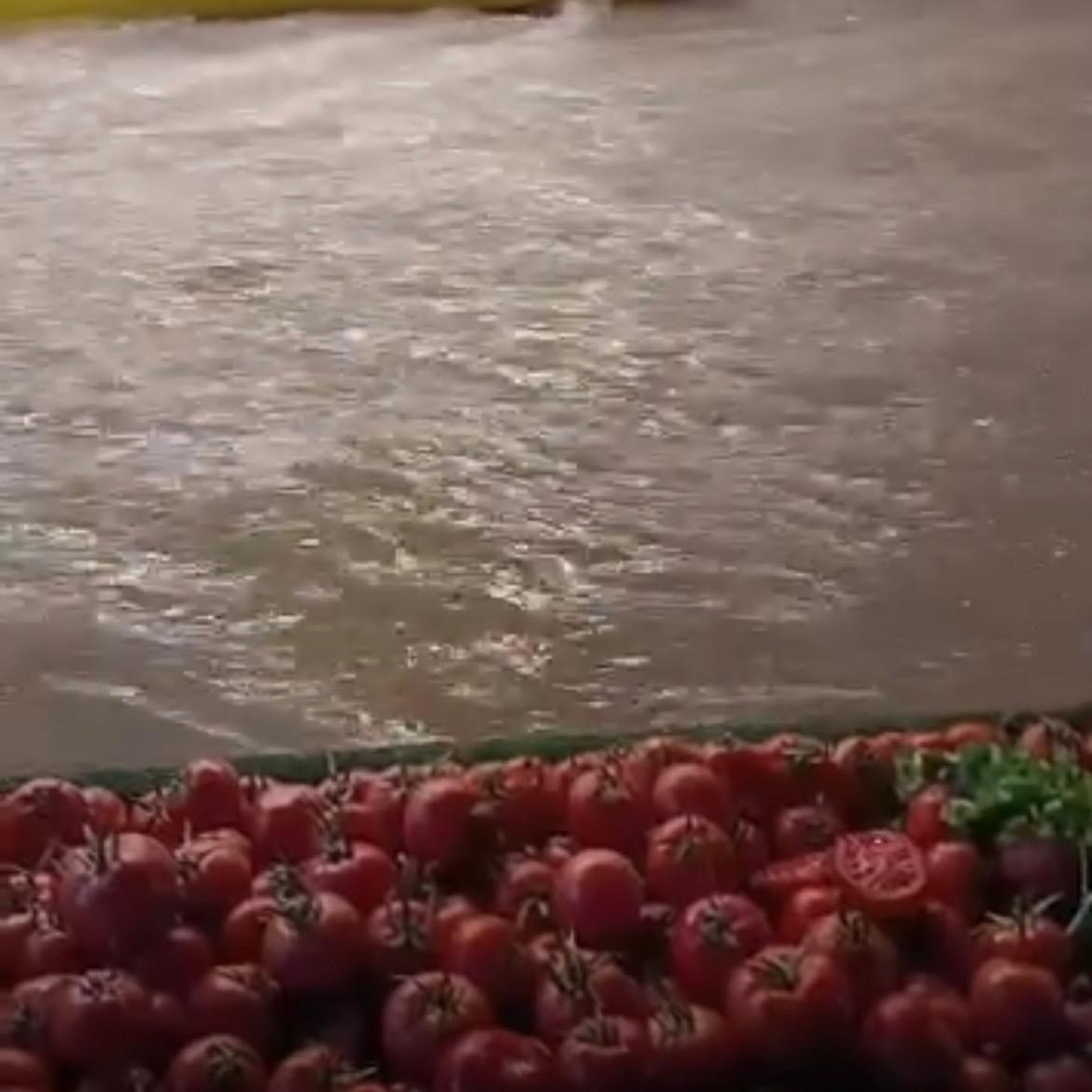 İzmir’de sağanak ve fırtına: Caddeler göle döndü, zor anlar kameraya yansıdı
