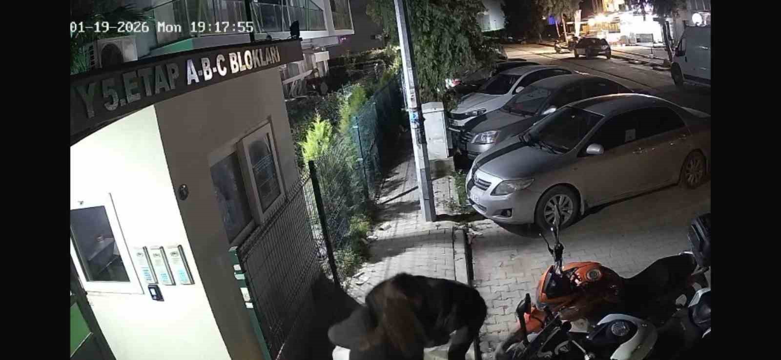 İzmir’deki korkunç cinayetin görgü tanığı konuştu: "Silah sesine koştuk, kanlar içinde bulduk"
İzmir’deki korkunç cinayetin görgü tanığı konuştu: "Silah sesine koştuk, kanlar içinde bulduk"