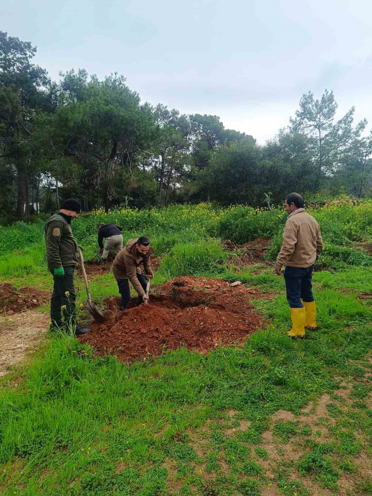 İzmir’in damla sakızı KKTC’de toprakla buluştu
