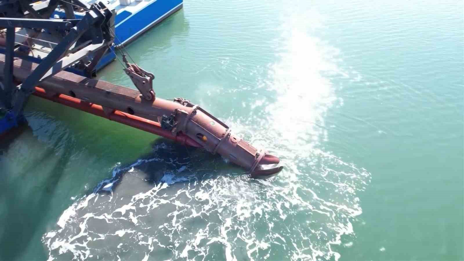 İzmit Körfezi’nde çamur gitti, allı turnaların sayısı ikiye katlandı
