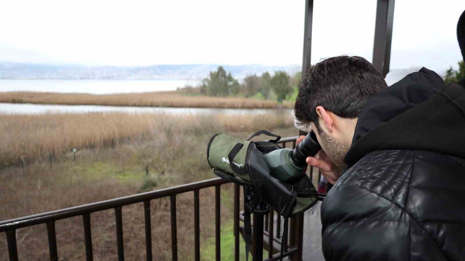 İzmit Körfezi’nin zarif misafirleri şenlikte görüntülendi
