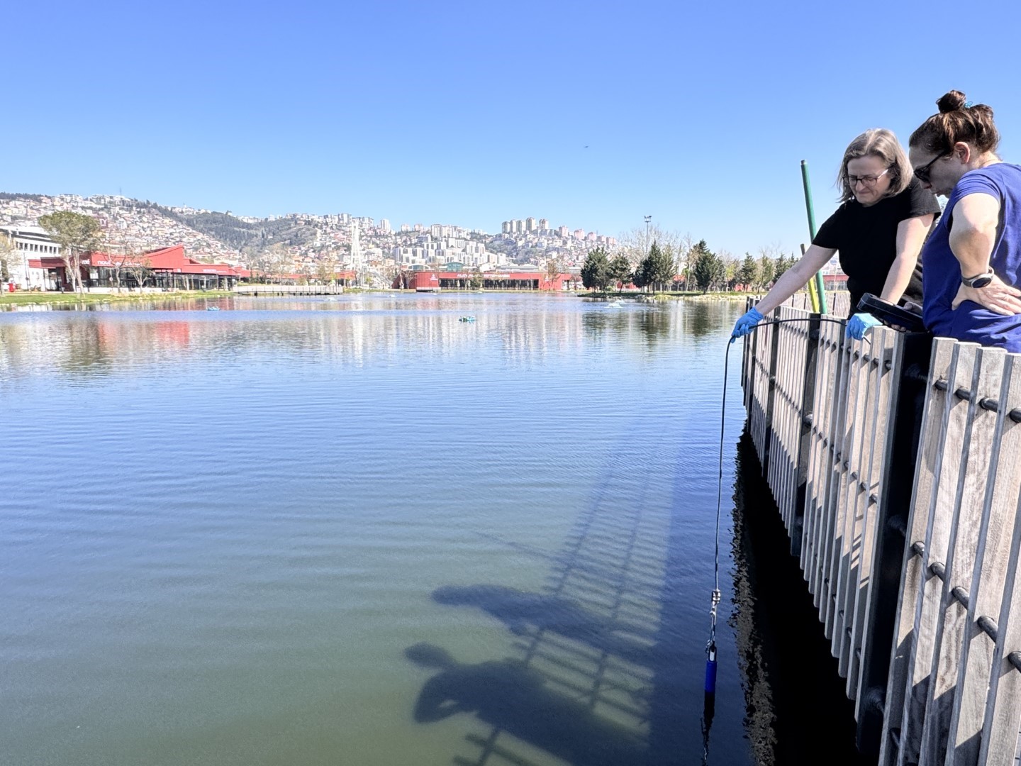 İzmit Millet Bahçesi göletinde bilimsel iyileştirme çalışması başladı
