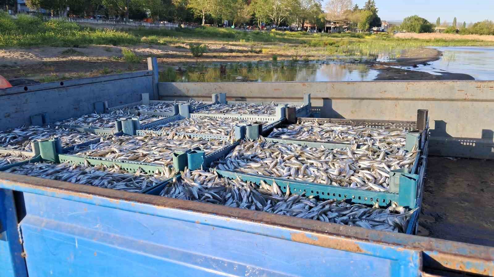 İznik Gölü’nde bereketli sezon...Gümüş balığında yüzler gülüyor
