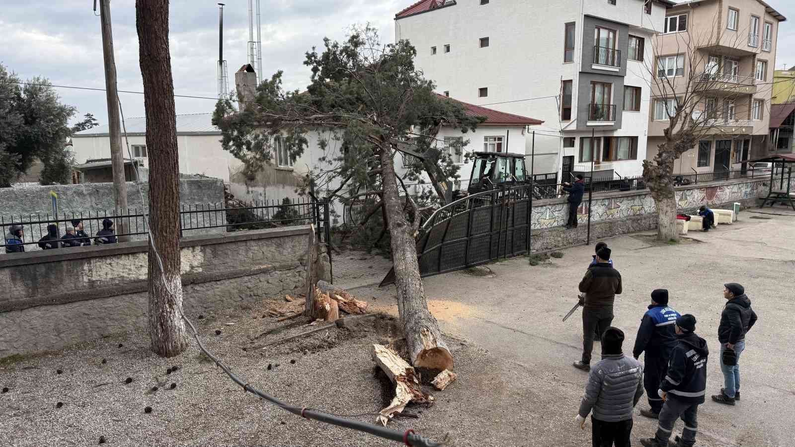 İznik’te okulların tatil olması faciayı önledi..Dev ağaç okul bahçesine devrildi

