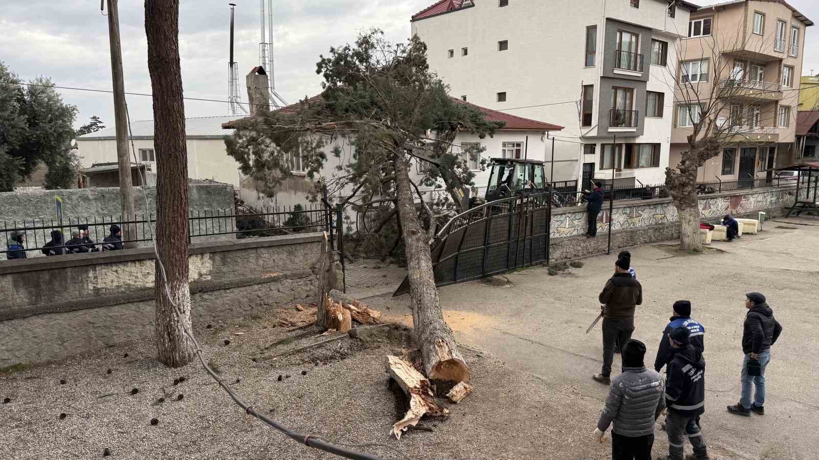 İznik’te okulların tatil olması faciayı önledi..Dev ağaç okul bahçesine devrildi
