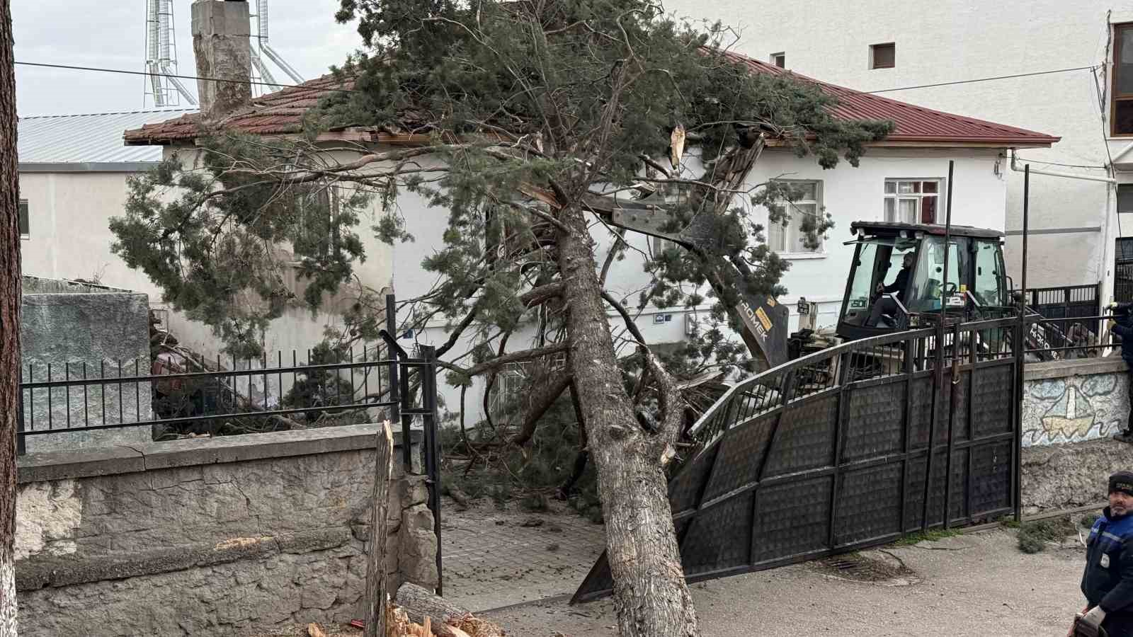 İznik’te okulların tatil olması faciayı önledi..Dev ağaç okul bahçesine devrildi
