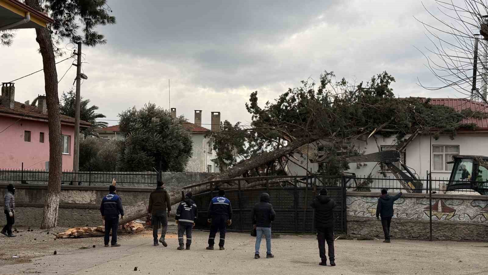 İznik’te okulların tatil olması faciayı önledi..Dev ağaç okul bahçesine devrildi
